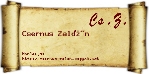 Csernus Zalán névjegykártya
